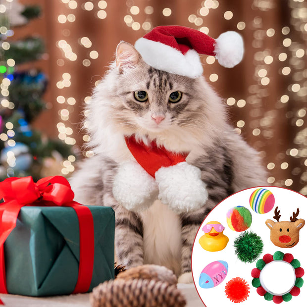 New Cat Advent Calendar 2024 Christmas Countdown